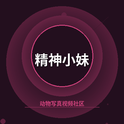 精神小妹